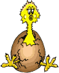 pulcino uovo.gif